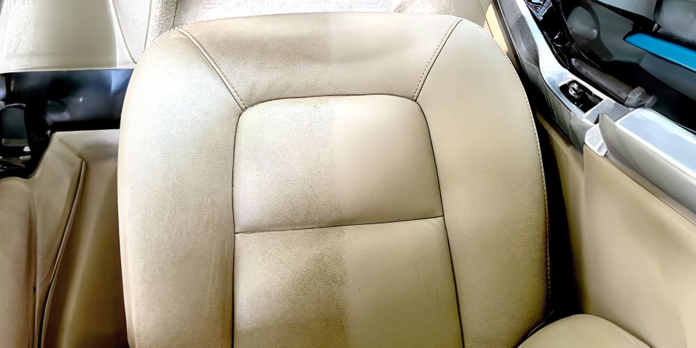 C.A.R. Mink Leather Clean Conditioner / Limpia Humectante Cuero Automóvil / Hogar 500ml - USA - Imagen 14
