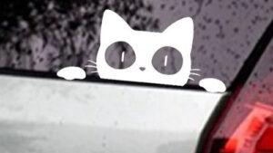 Sticker Pegotin Calco Autoadhesivo Vinilo Gato (Cat Face) Luneta / Baúl / Espejos Automóvil x Unidad