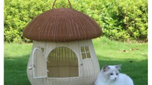 Casa Transportadora Mascotas Tipo Hongo P/Gatos & Perros / Ratan / Lavable / 50cmx50cm - Mod.B080