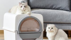 Toilet Baño Sanitario Semi Automático P/Gatos Mascota Autolimpiante (Uso con Piedras Aglomerantes - Bentonite Cat Litter) / Operativo Manual / 64cmx46cmx46cm - Modelo.CA224