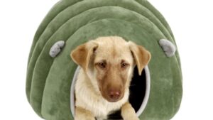 Cama Cucha Casita Tipo Oruga P/Mascotas Gatos & Perros Verde Talle M - 50cmx40cmx38cm Mod.YKBD-00011