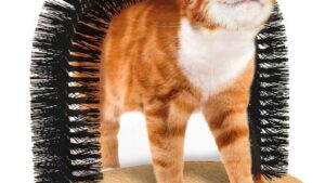 Rascador & Cepillo Arco Masajeador P/Mascotas Gatos & Perros 36cmx28.5cmx34cm - Mod.YKCT-00061