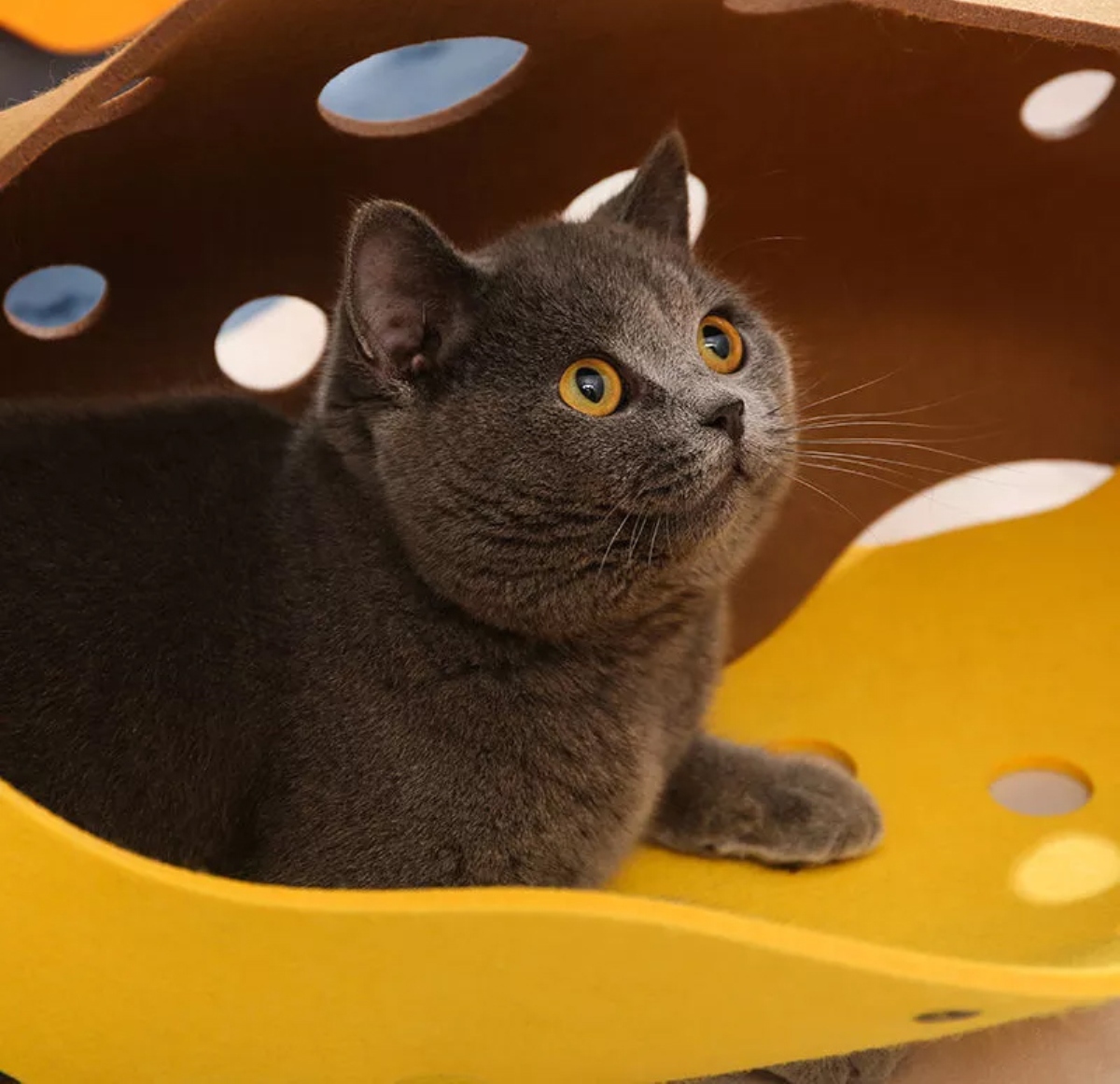Túnel Plegable P/Mascotas Gatos - Conejos - Etc. / Gris & Amarillo / 91cm Largo x 26cm Diámetro - Mod.9126 - Imagen 3
