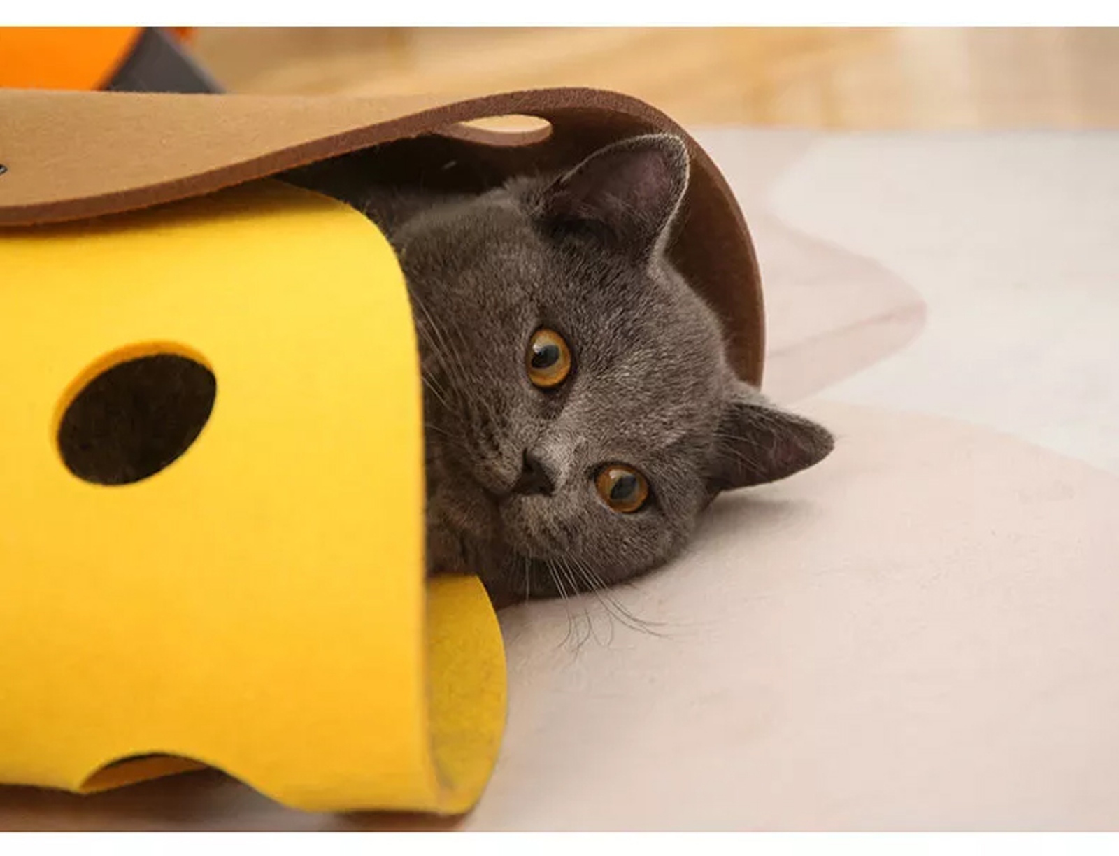Túnel Plegable P/Mascotas Gatos - Conejos - Etc. / Gris & Amarillo / 91cm Largo x 26cm Diámetro - Mod.9126 - Imagen 9