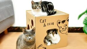 Casita & Rascador Doble Cartón P/Mascotas Gatos Talle M / Natural / 40cmx40cmx40cm - Mod.YKPT-RD0014
