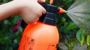 Botella C/Tapa Pulverizadora Spray Líquidos 2000ml - Mod.PH-2L