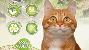Arena Aglomerante Ecologica Natural Vegetal TOFU / Sanitario Gato / Bolsa 2.5Kg=6L / Aromatica - Mod.TOF1
