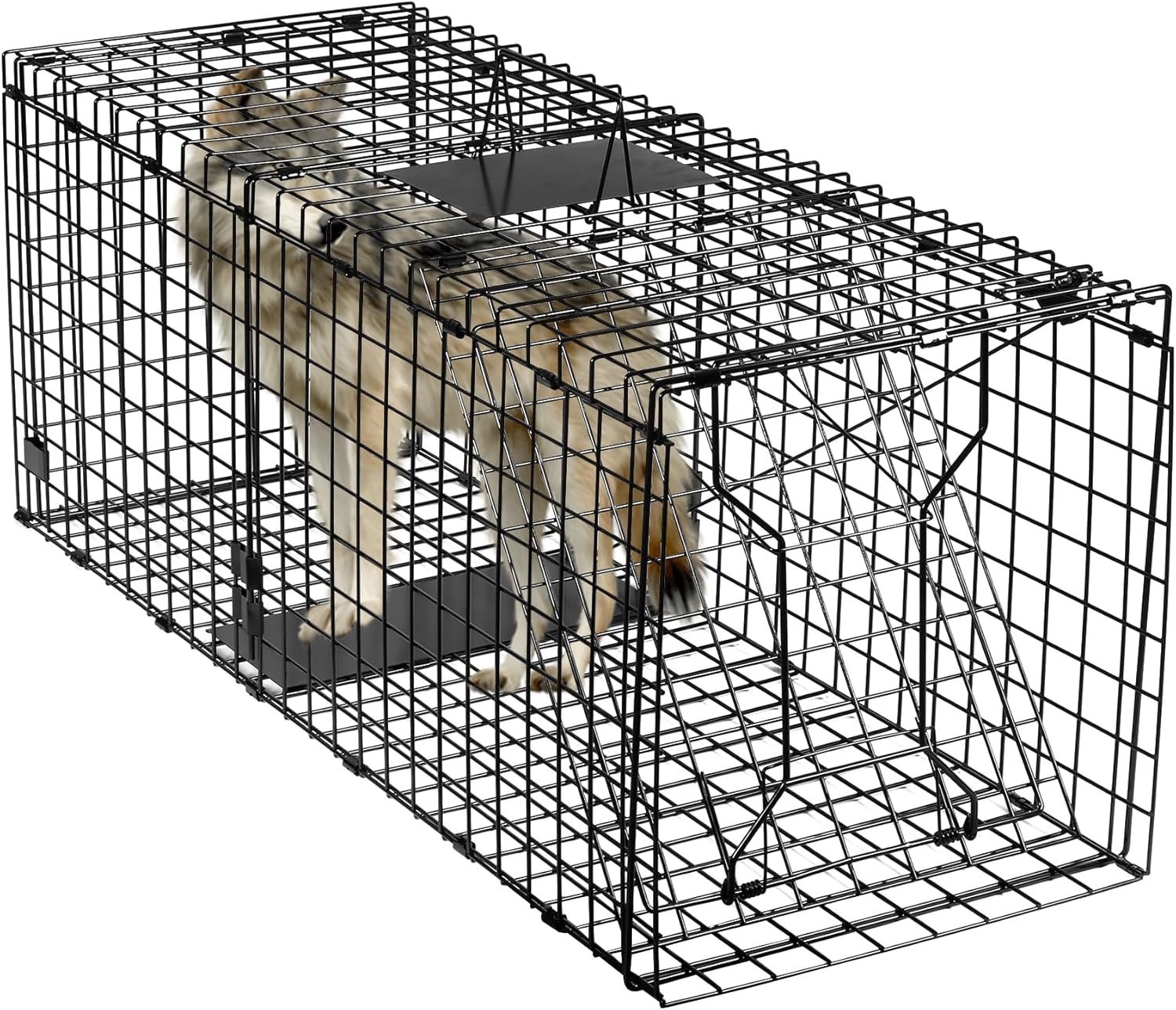 Trampa Captura Viva Animales / Tamaño XL / Animales Medianos-Chicos / Plegable / 95cmx34cmx32cm - Mod.0001 - Imagen 3