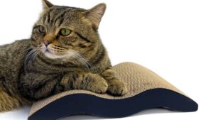 Rascador Cama Diván Ondulado Cartón Reversible P/Gatos / Diversión / Pad Reductor Estrés Felino - (Incluye Yerba Gatera) Mod.220b